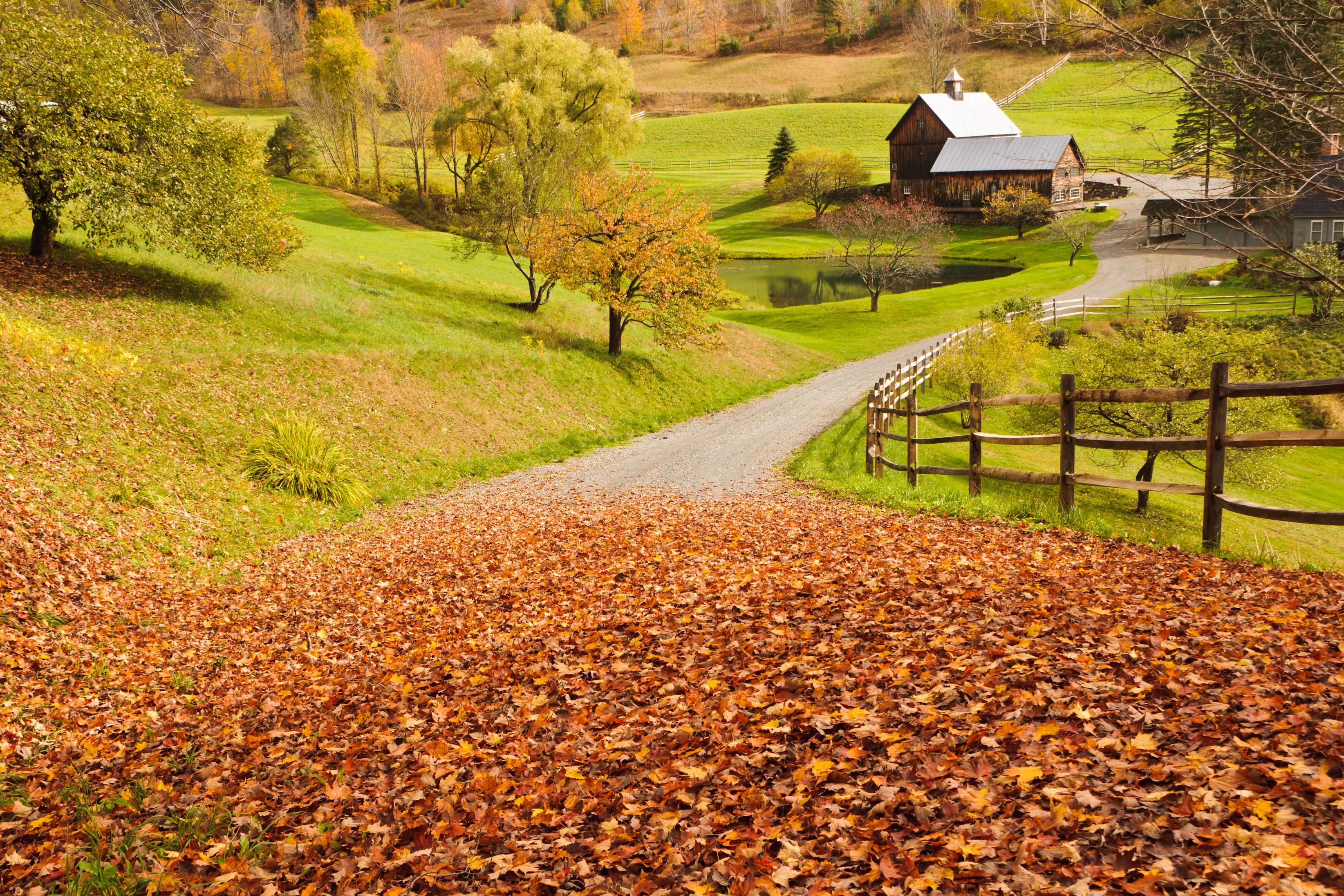 Challenge image: describe this rural landscape based on visual details. Your response will not be judged.