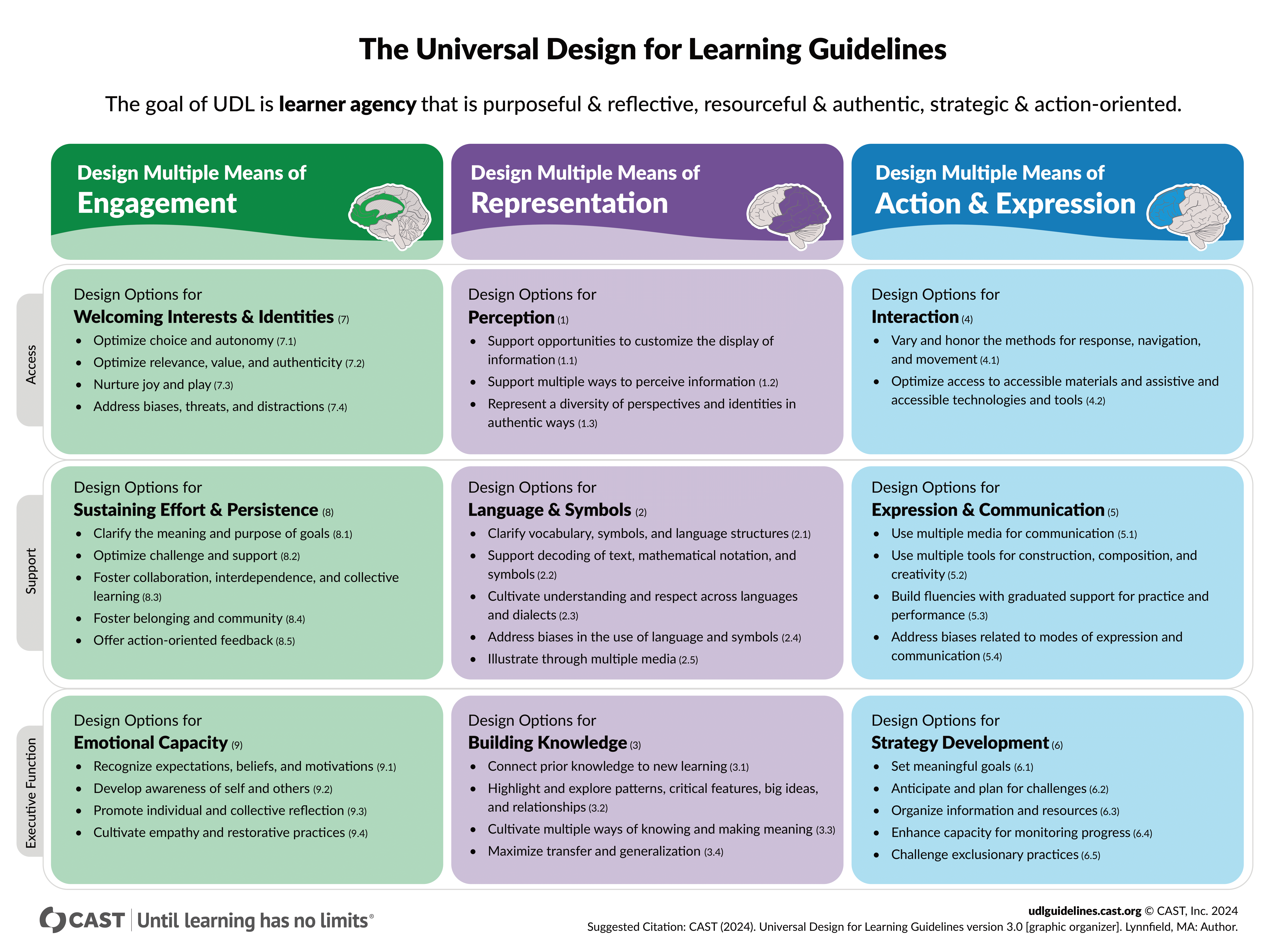 UDL Guidelines Chart showing Engagement, Representation, and Action & Expression